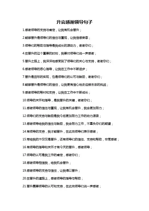 升官感谢领导句子
