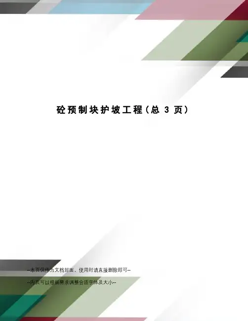 砼预制块护坡工程