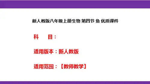 新人教版八年级上册生物第四节鱼优质课件