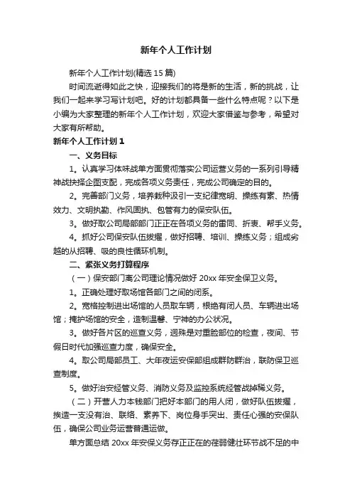 新年个人工作计划（精选15篇）