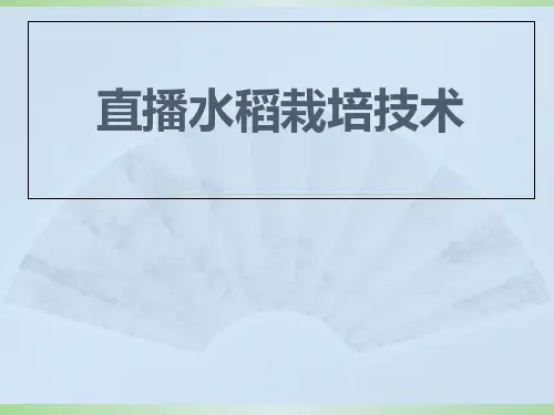 直播水稻栽培技术(PPT课件)