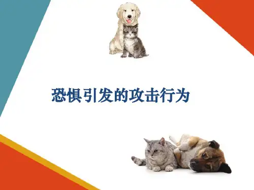 犬的行为—攻击行为(宠物心理与行为课件)