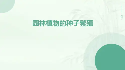 园林植物的种子繁殖