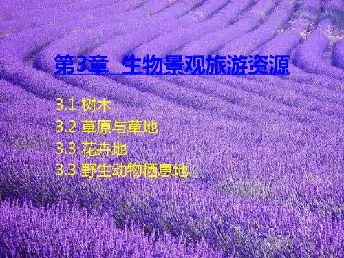 第三章 生物景观旅游资源