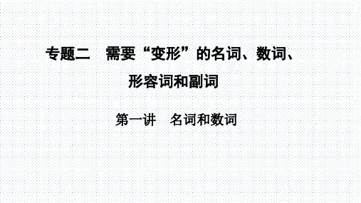 【高中英语语法公开课】第一讲 名词和数词