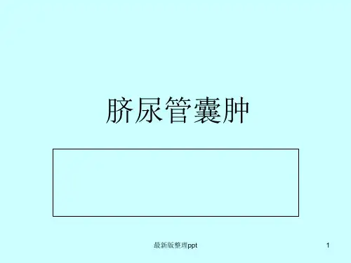 脐尿管囊肿ppt课件