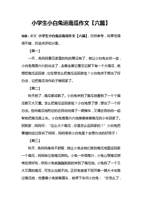 小学生小白兔运南瓜作文【六篇】