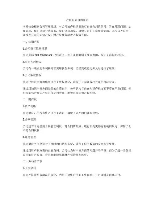 产权自查自纠报告