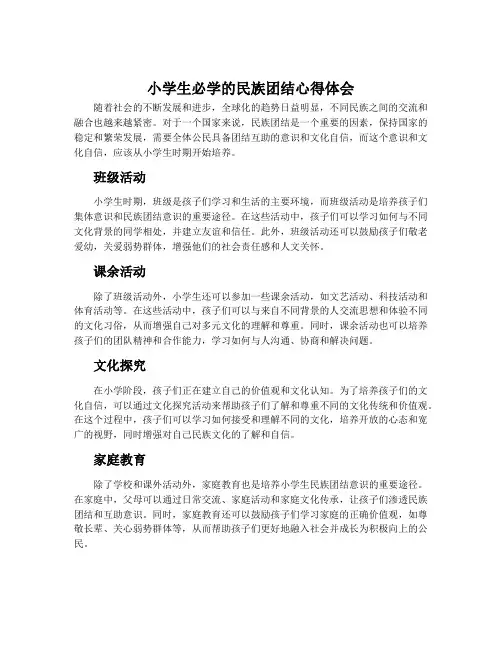 小学生必学的民族团结心得体会