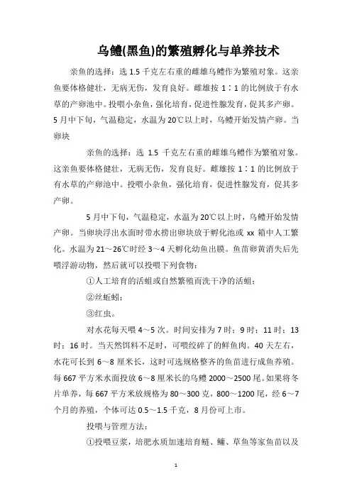 乌鳢(黑鱼)的繁殖孵化与单养技术