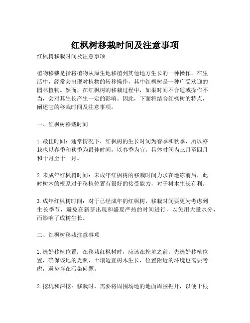 红枫树移栽时间及注意事项