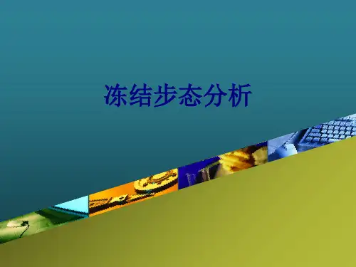 冻结步态分析PPT培训课件