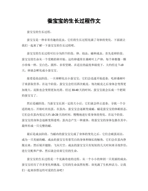 蚕宝宝的生长过程作文