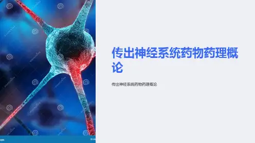 传出神经系统药药理概论