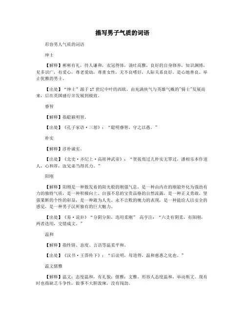 描写男子气质的词语