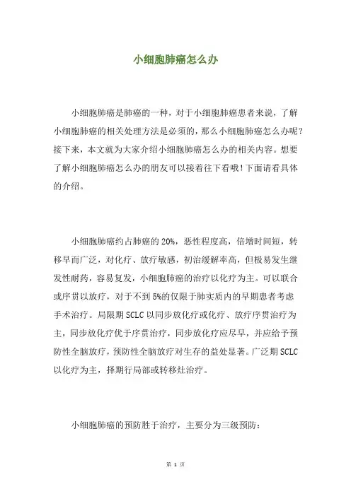 小细胞肺癌怎么办