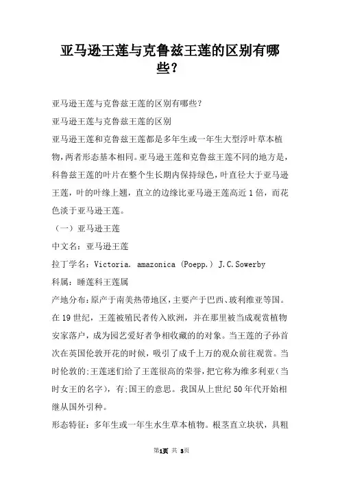 亚马逊王莲与克鲁兹王莲的区别有哪些？