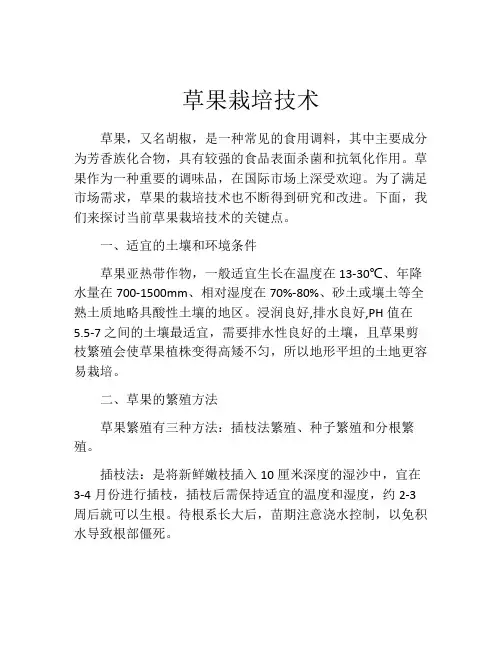 草果栽培技术