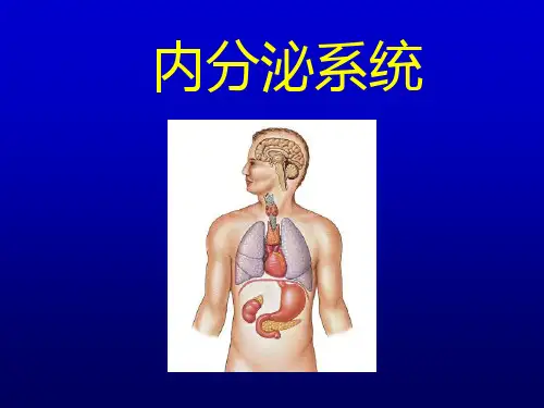 大学生理学-第十一章 内分泌
