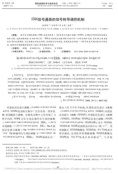 ERK信号通路的信号转导调控机制_赵明哲