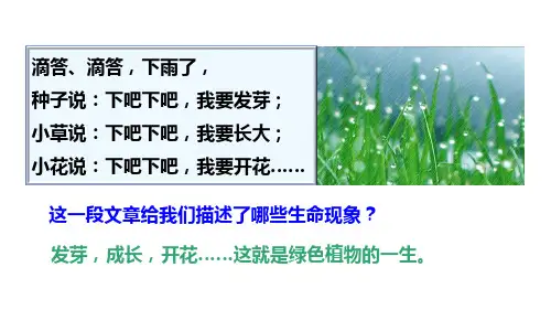 人教版生物七年级上册 3.2第一节第1课时种子萌发的条件