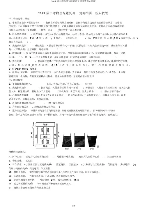 2019届中考物理专题复习复习提纲新人教版