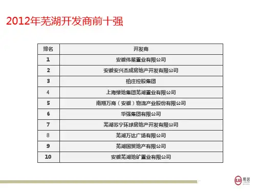 芜湖房地产前十开发企业