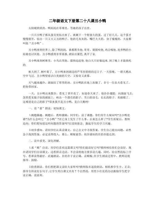二年级语文下册第二十八课丑小鸭