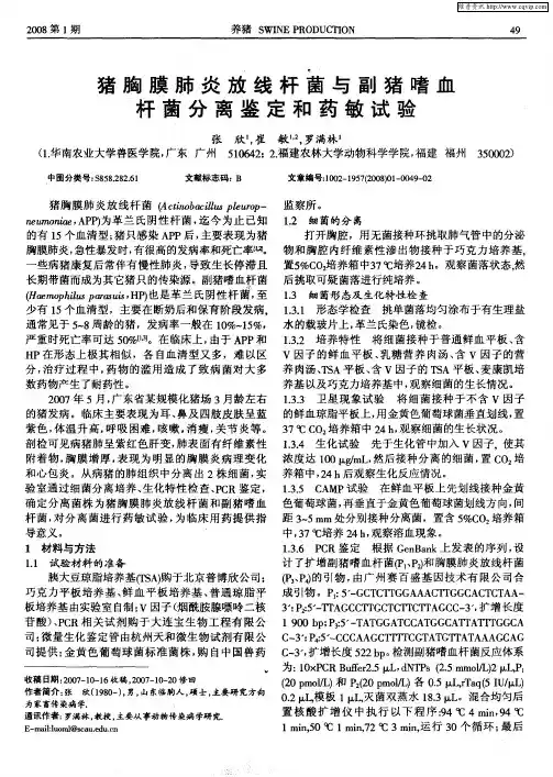 猪胸膜肺炎放线杆菌与副猪嗜血杆菌分离鉴定和药敏试验