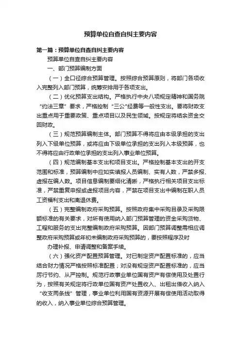 预算单位自查自纠主要内容