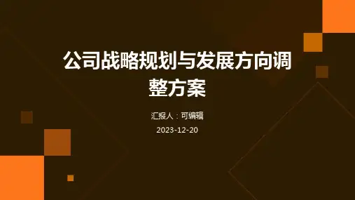 公司战略规划与发展方向调整方案 (3)