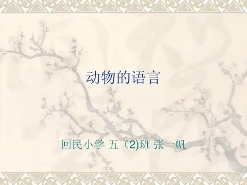 动物的语言