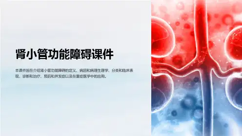 肾小管功能障碍课件