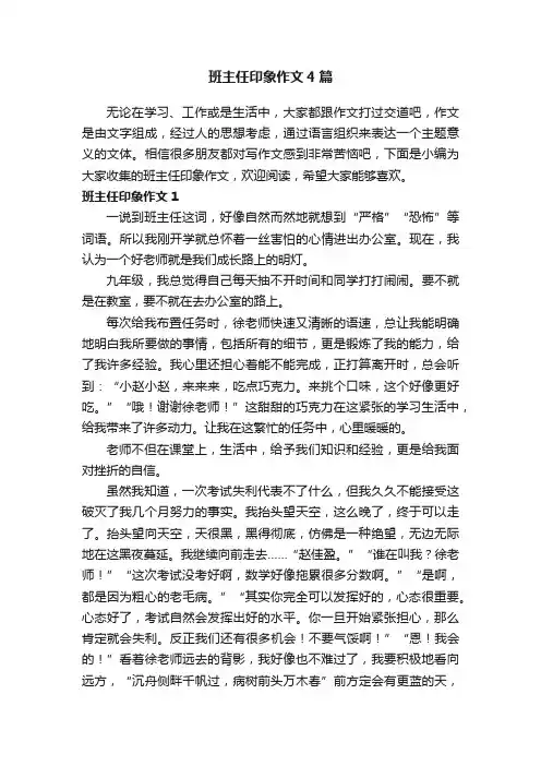 班主任印象作文4篇