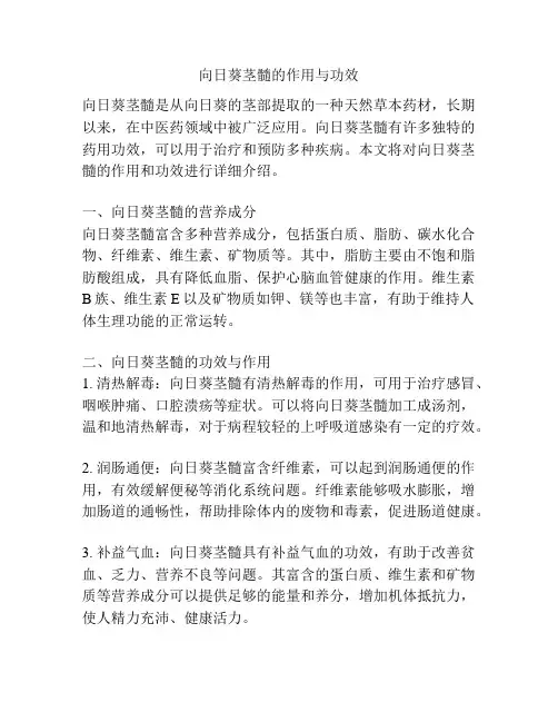 向日葵茎髓的作用与功效