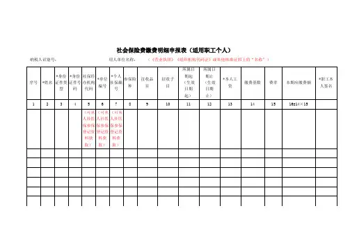 《社会保险费缴费明细申报表(适用职工个人)》(2)
