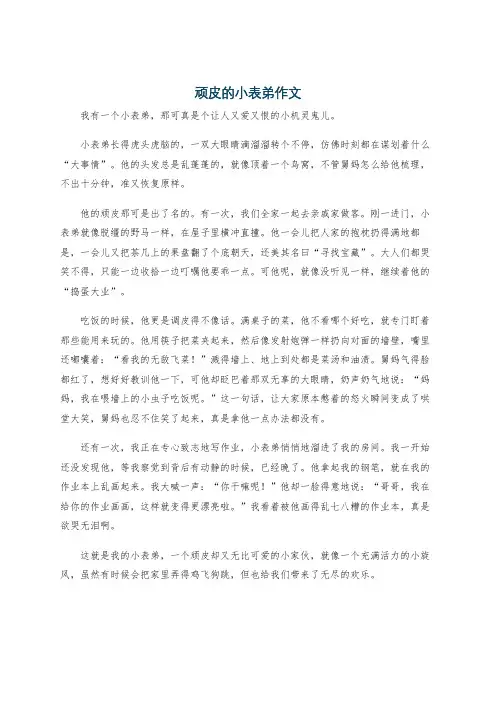 顽皮的小表弟作文