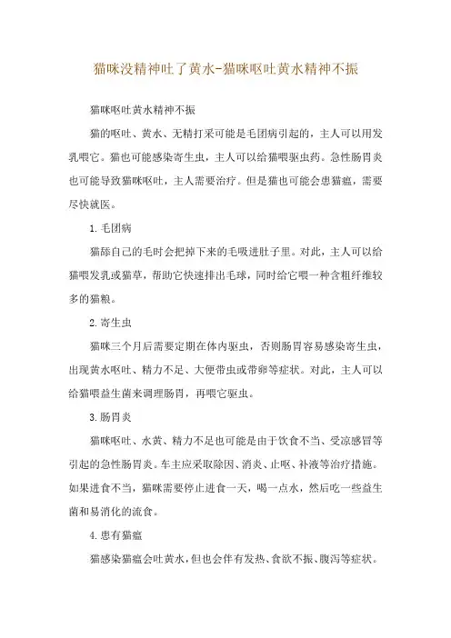 猫咪没精神吐了黄水-猫咪呕吐黄水精神不振