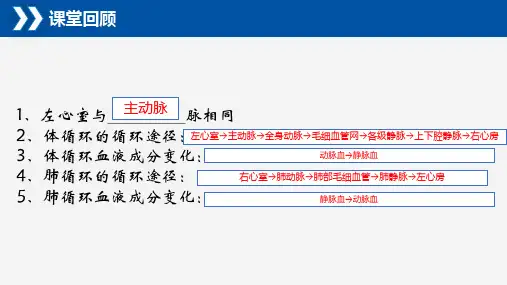 10.1 食物中能量的释放-七年级生物下册同步优质教学课件(北师大版)