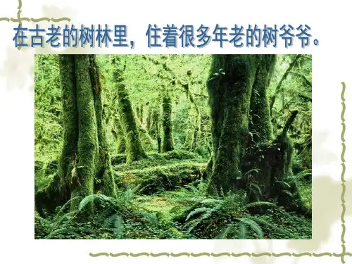 美术二年级上岭南版3.8给树爷爷画像课件 (30张)