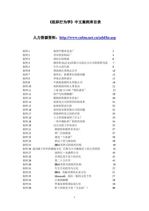 组织行为学中文案例库-117页