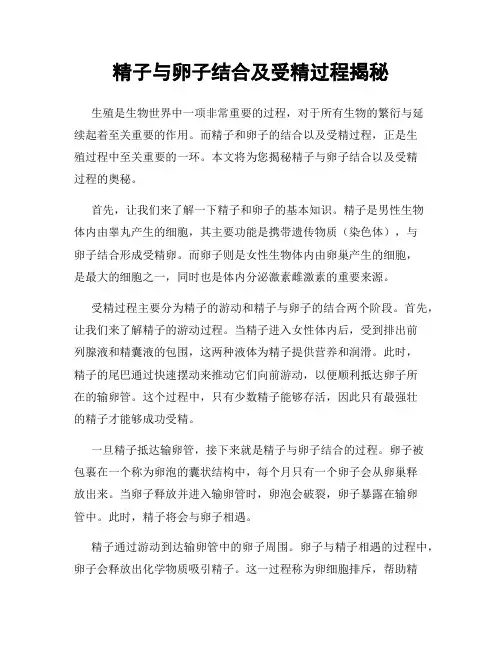 精子与卵子结合及受精过程揭秘