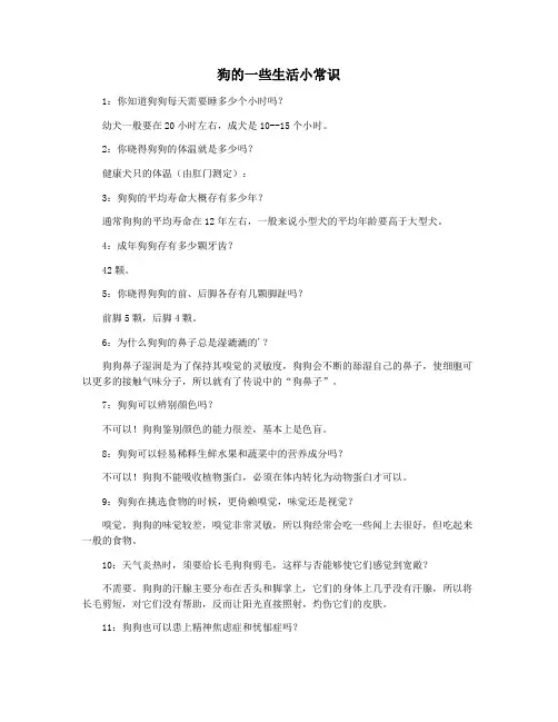 狗的一些生活小常识