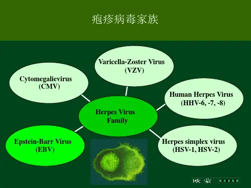 EBV血清学诊断及临床应用欧盟ppt课件