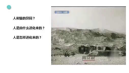 6-3-3人类的起源课件2021--2022学年冀少版生物八年级下册