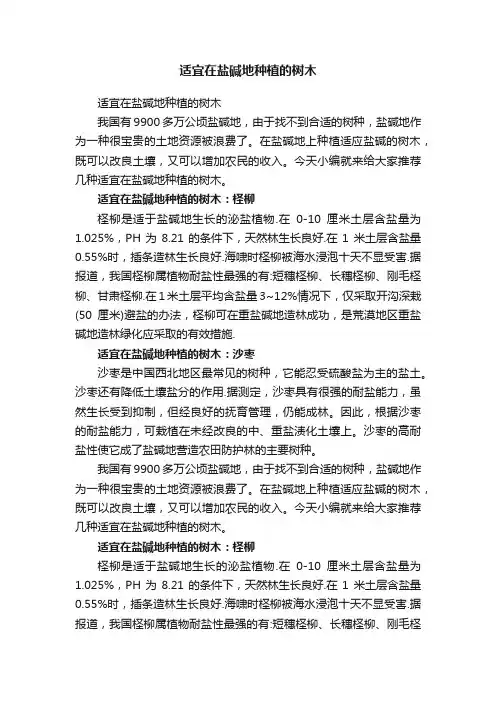 适宜在盐碱地种植的树木