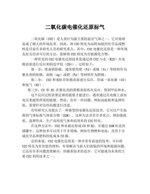 二氧化碳电催化还原标气