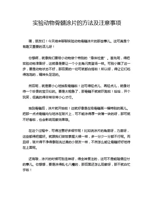 实验动物骨髓涂片的方法及注意事项