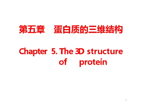 生物化学第5章 蛋白质的三维结构