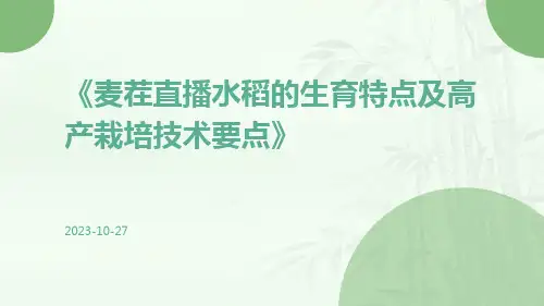 麦茬直播水稻的生育特点及高产栽培技术要点